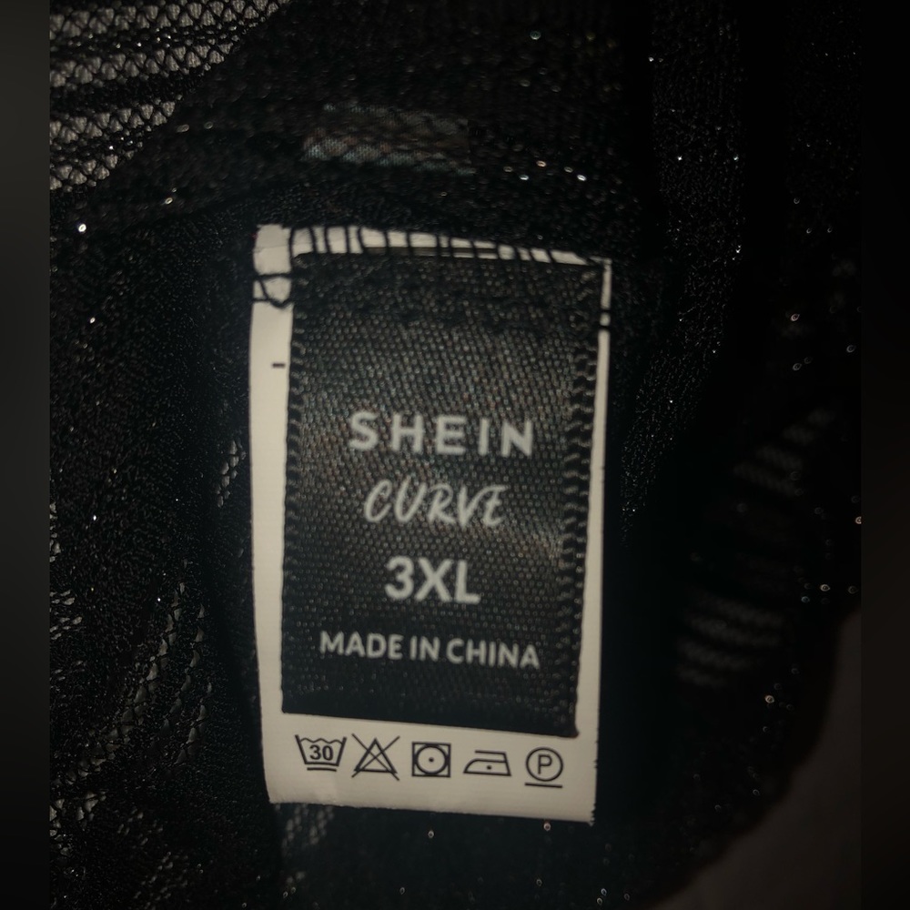 COPY - Sheer Blouse - Picture 3 of 4